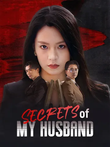 Secrets of My Husband