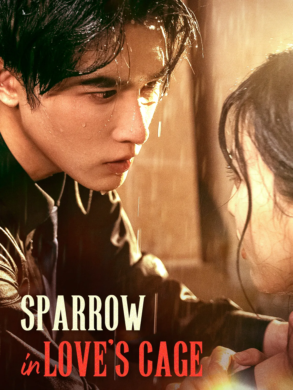 Sparrow in Love's Cage